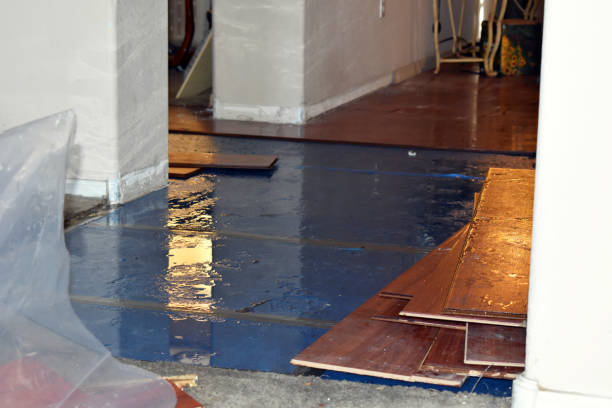 Professional Basement Flood Cleanup technician working in Emerson, NJ